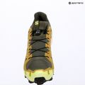 Pánské běžecké boty Salomon Speedcross 6 GTX grape leaf/aspargus green 16