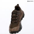 Pánské turistické boty The North Face Offtrail Hike GTX dark chestnut/smokey 14