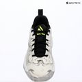 Pánské basketbalové boty Nike Giannis Immortality 5 white/off white/metallic silver 16