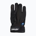 Pánské lyžařské rukavice Oakley Factory Winter Gloves 2.0 blackout 7