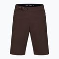 Pánské cyklistické šortky Fox Racing Ranger cocoa 5
