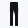 Pánské kalhoty  The North Face Standard Pant black 5