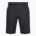 Pánské kraťasy Oakley Take Pro Lite blackout heather