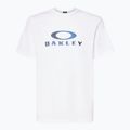 Pánské tričko Oakley Camo Ellipse Tee white