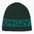 Oakley TNP Oboustranná kšiltovka zelená FOS901066 4