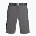 Pánské trekové kraťasy Columbia Silver Ridge II Cargo 023 šedé 1794921 6