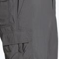 Pánské trekové kraťasy Columbia Silver Ridge II Cargo 023 šedé 1794921 9