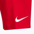 Pánské tréninkové šortky Nike Dri-Fit Park III červené BV6855-657 3