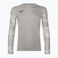 Pánský brankářský dres Nike Dri-FIT Park IV pewter grey/white/black