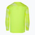 Dětský brankářský dres Nike Dri-FIT Park IV Goalkeeper volt/white/black 2