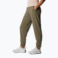 Columbia Pleasant Creek Warm Jogger hnědé dámské trekové kalhoty 1960113 2
