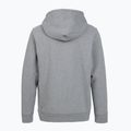 Dámská trekingová mikina Patagonia P-6 Label Uprisal Hoody gravel heather 2