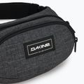 Ledvinka Dakine Hip carbon 4