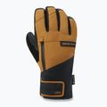 Pánské snowboardové rukavice Dakine Titan Gore-Tex Short Rubber 11