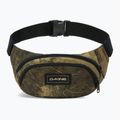Ledvinka Dakine Hip earth topo