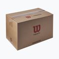 Tenisové míče Wilson Trinity Club 72 pcs. yellow 4
