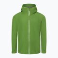 Pánská bunda do deště Marmot Minimalist Pro Gore Tex zelená M12351 4