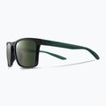 Sluneční brýle  Nike Sky Ascent concord/green 5