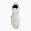 Pánské běžecké boty Brooks Glycerin Flex bluewash/morel/beige 5