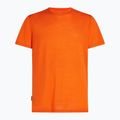 Pánské trekingové tričko  icebreaker Merino 125 Cool-Lite Sphere III SS Tee blaze 6
