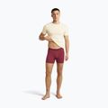 Pánské termo boxerky icebreaker Anatomica Boxers port 5