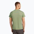 Pánské tričko Icebreaker Merino Core Tee lichen 3