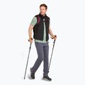 Pánské trekingové tričko Icebreaker Merino 150 Tech Lite Polar Paddle moss 5