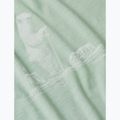 Pánské trekingové tričko Icebreaker Merino 150 Tech Lite Polar Paddle moss 7