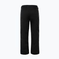 Pánské lyžařské kalhoty The North Face Chakal black NF0A5IYVJK31 6