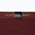 Dámské termoaktivní kalhoty Icebreaker 200 Oasis hnědé IB1043830641 10