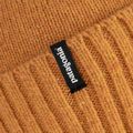 Patagonia Brodeo Beanie trekingová čepice se sušeným mangem 4