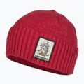 Čepice Patagonia Brodeo Beanie fun hogs armadillo/touring red trekkingová čepice 3