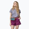 Kapsička ledvinka Patagonia Ultralight Black Hole Mini Hip Pack 1 l burl red 4