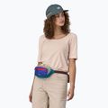 Kapsička ledvinka Patagonia Ultralight Black Hole Mini Hip Pack 1 l patchwork/belay blue 5