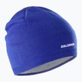 Zimní čepice Salomon Beanie surf the web
