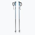 Lyžařské hole Salomon Polar Pro copen blue