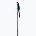Lyžařské hole Salomon Polar Pro copen blue 2