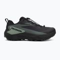 Pánské běžecké boty Salomon Genesis GTX black/agave green/urban chic 2