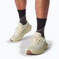 Pánské běžecké boty Salomon Thundercross asphalt/sharkskin/spray 11