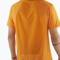 Pánské tričko Salomon Outline Tee turmeric 3
