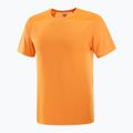 Pánské tričko Salomon Outline Tee turmeric 4