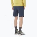 Pánské šortky Salomon Wayfarer Ease blue 2
