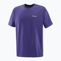 Pánské tričko Salomon Logo RX Tee astral 4