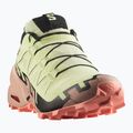 Dámské běžecké boty Salomon Speedcross 6 GTX lime cream/mahogany rose/black