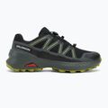 Pánské běžecké boty Salomon Speedcross Peak GTX black/urban chic/dark citron 2