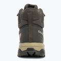 Pánské trekové boty Salomon X Ultra 5 MID GTX peat / gray green / blue nights 6