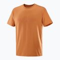 Pánské tričko Salomon Big Logo Tee sierra 4