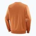 Pánská mikina Salomon Logo Crewneck sierra 6