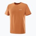 Pánské tričko Salomon Logo Tee sierra 4