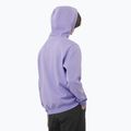 Pánská mikina  Salomon Logo Hoodie violet tulip 2